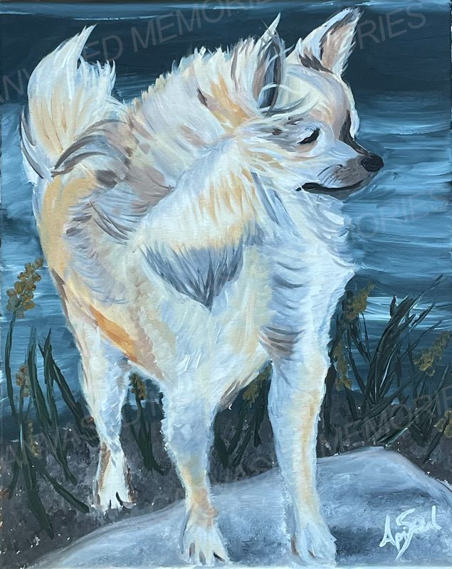 Windy Day